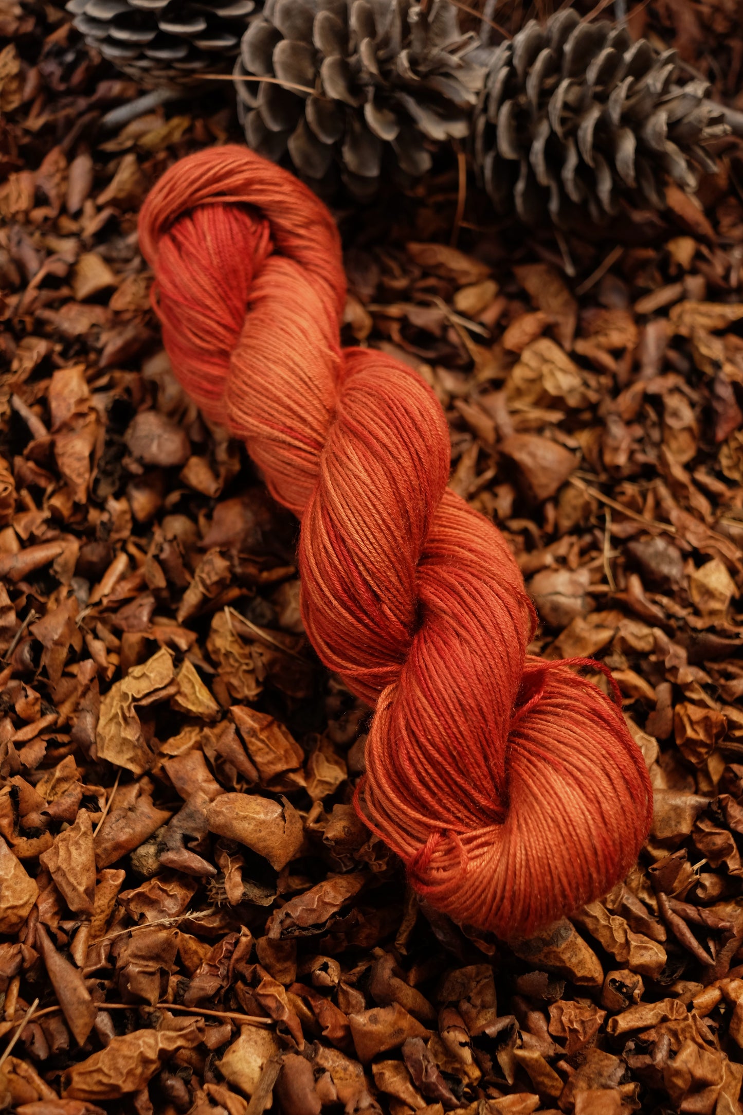 Christmas Eve Cast On Calypso!