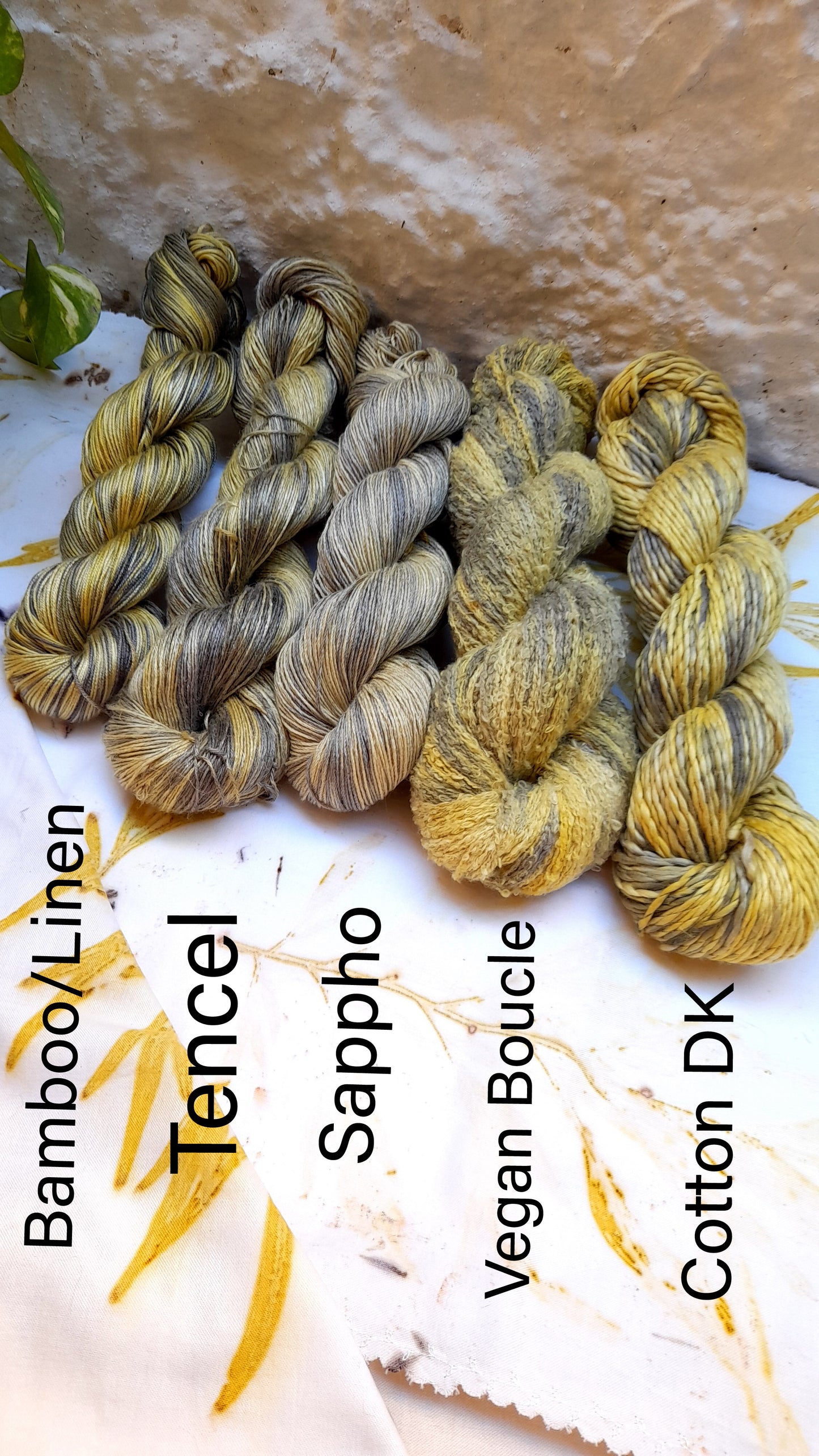 Botanical Study Yarn Club - Golden Rain Tree!
