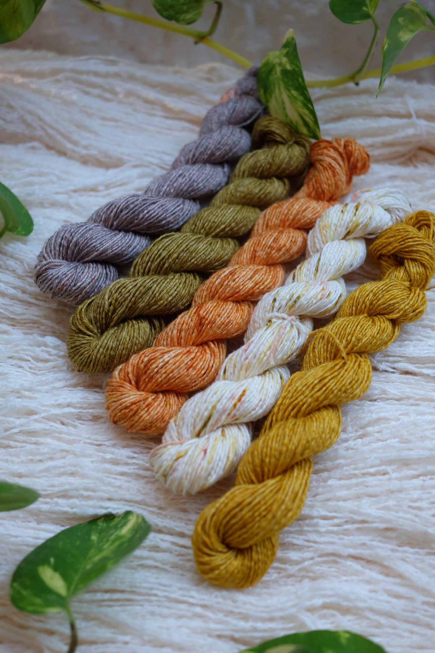 Sock Minis Bundle!