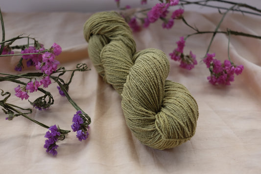 Fern - Fingering Vegan Sock Yarn