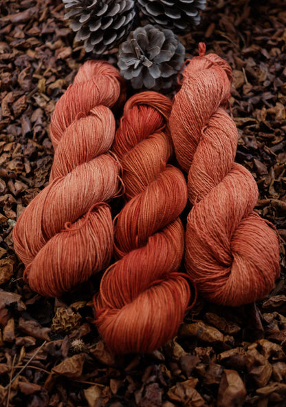 Christmas Eve Cast On Calypso!