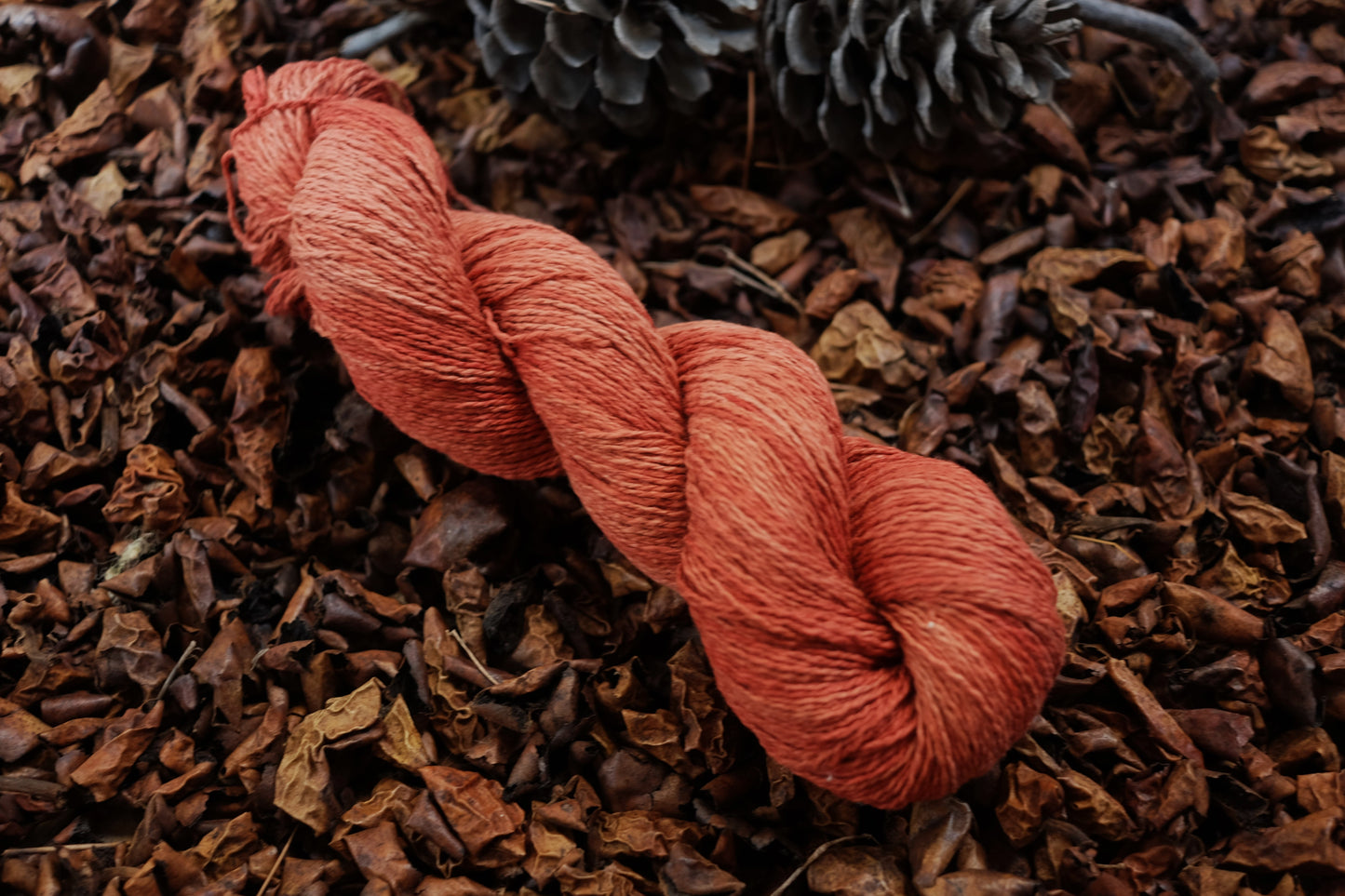 Christmas Eve Cast On Calypso!