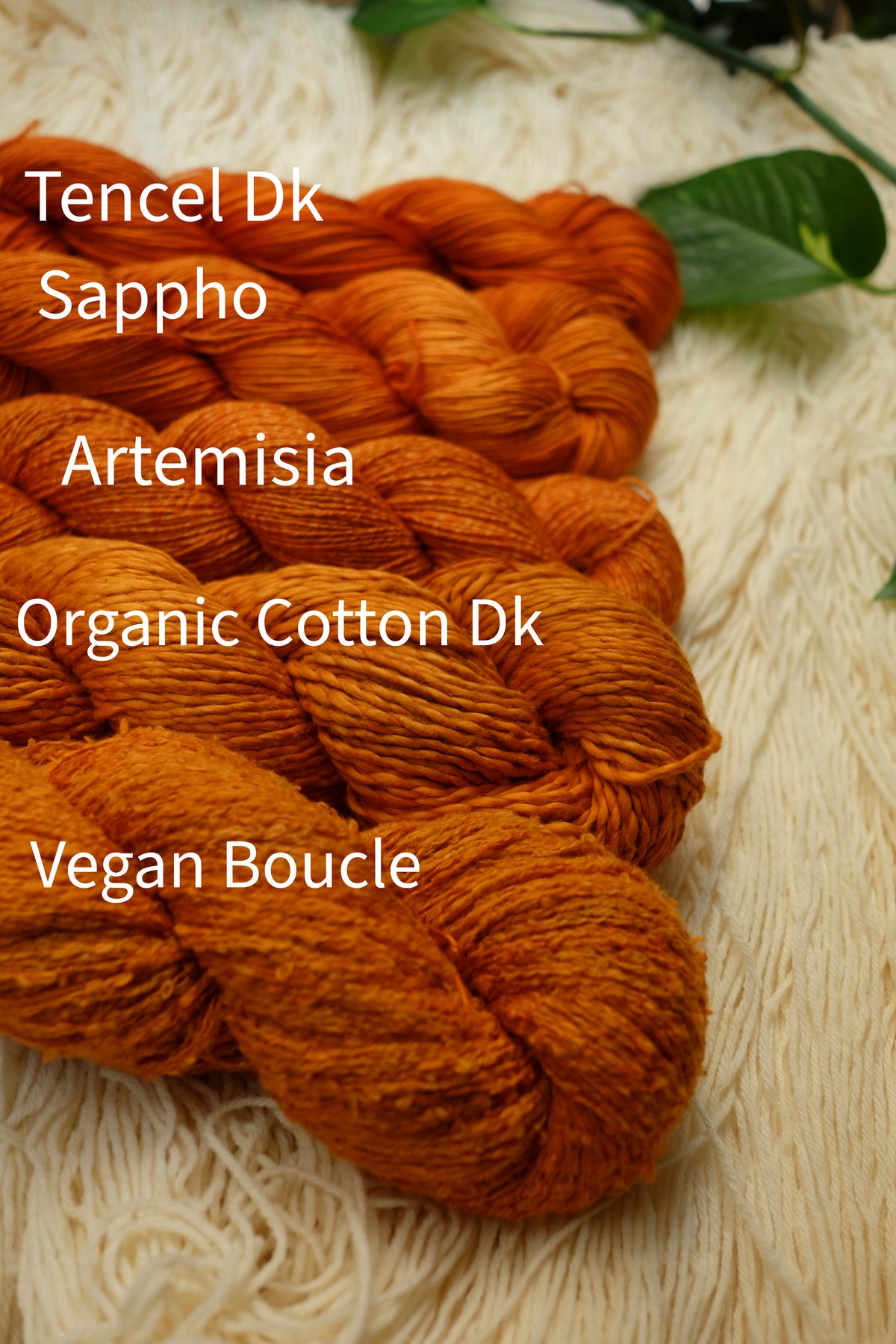 Botanical Study Yarn Club - Sienna