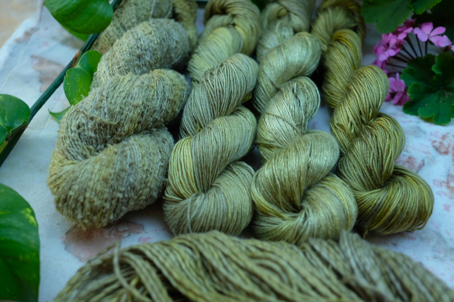 Botanical Study Yarn Club - Evelina