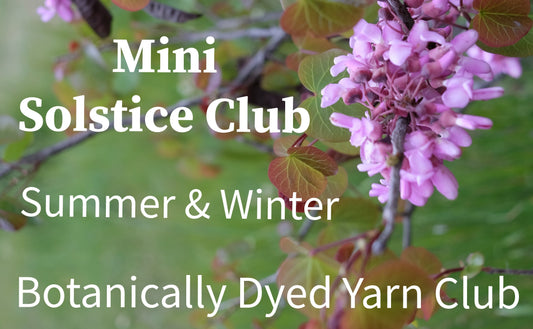 vegan yarn club