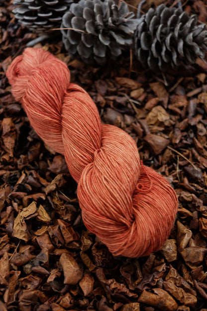 Christmas Eve Cast On Calypso!