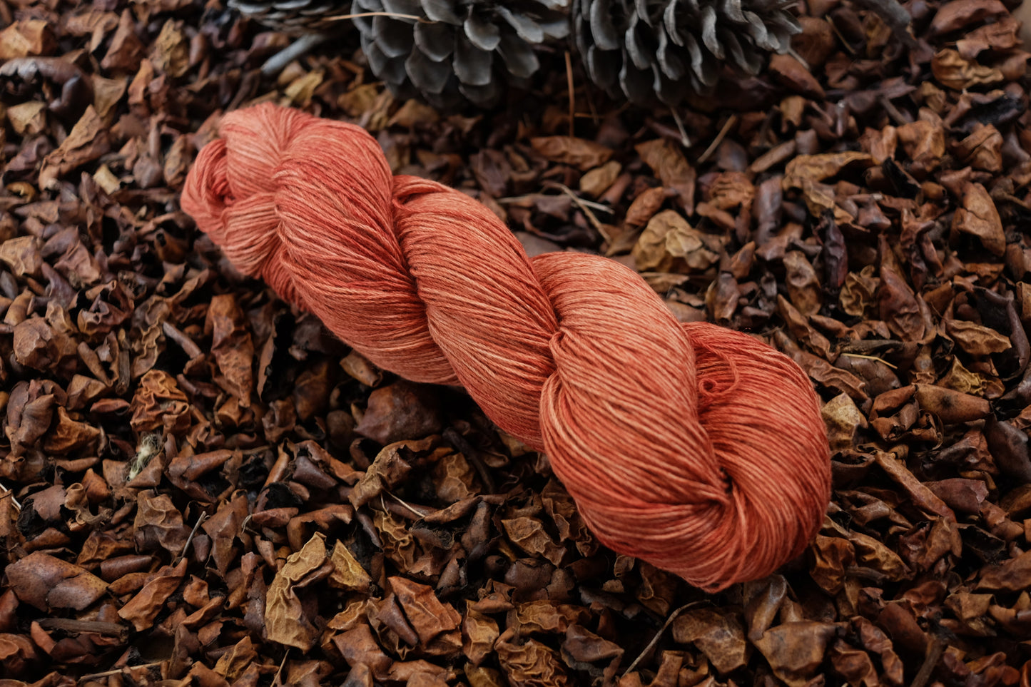 Christmas Eve Cast On Calypso!