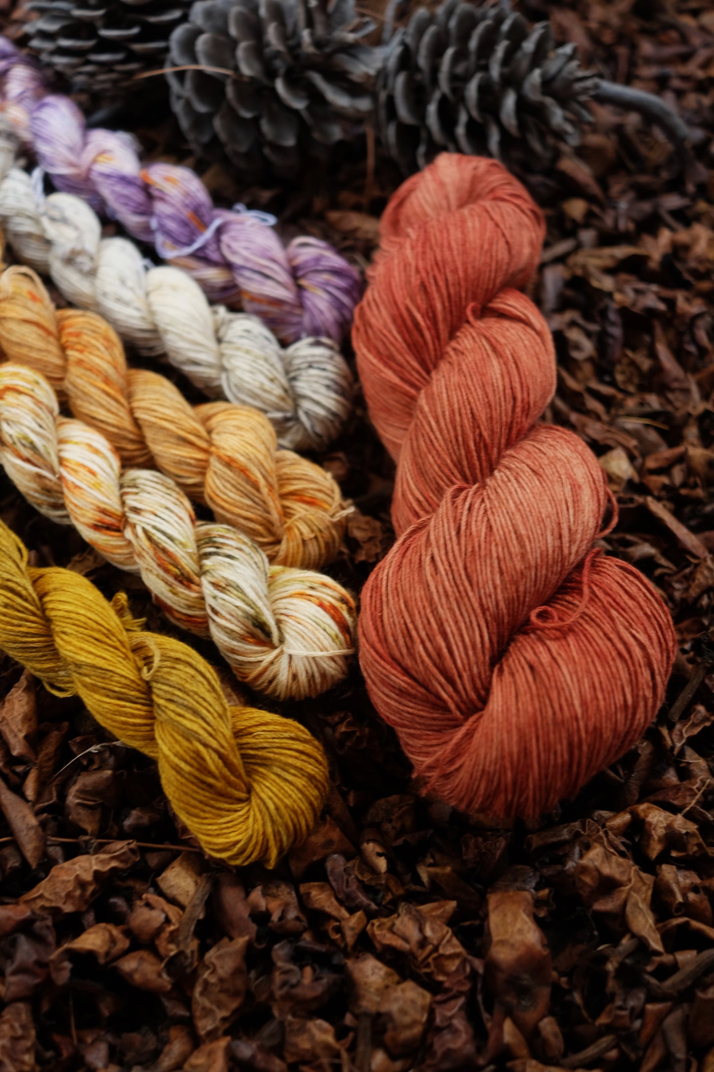 Christmas Eve Cast On Bundle 2025