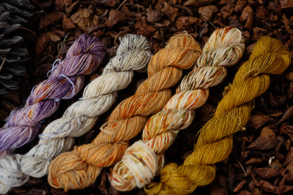 Christmas Eve Cast On Mini Skeins Set!