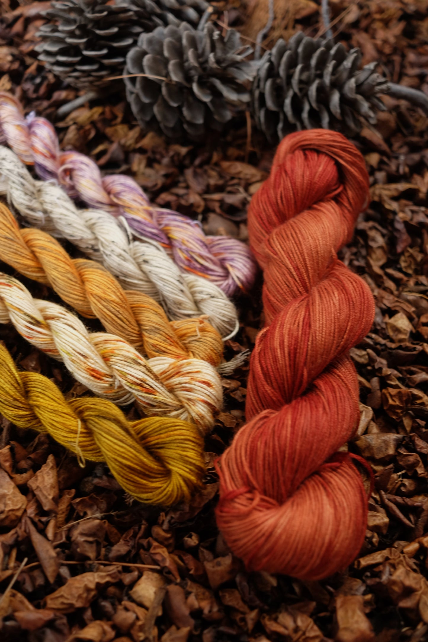 Christmas Eve Cast On Bundle 2025