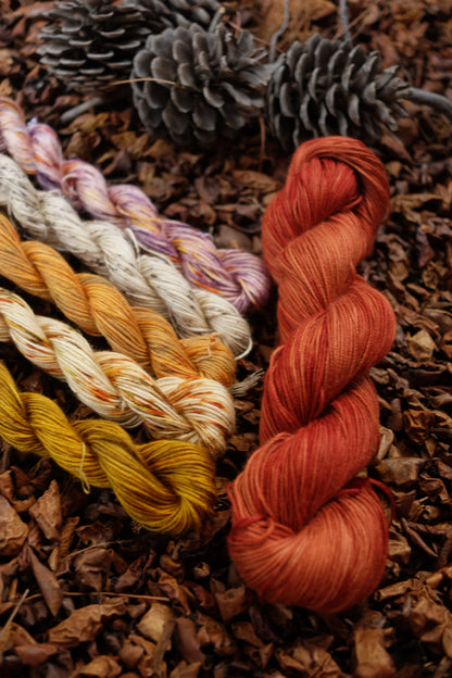 Christmas Eve Cast On Bundle 2025