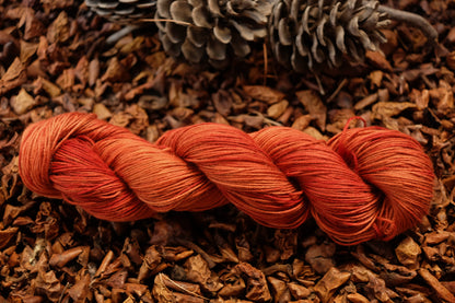 Christmas Eve Cast On Calypso!