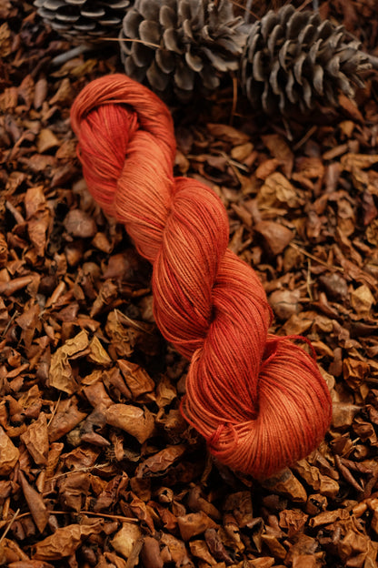 Christmas Eve Cast On Calypso!