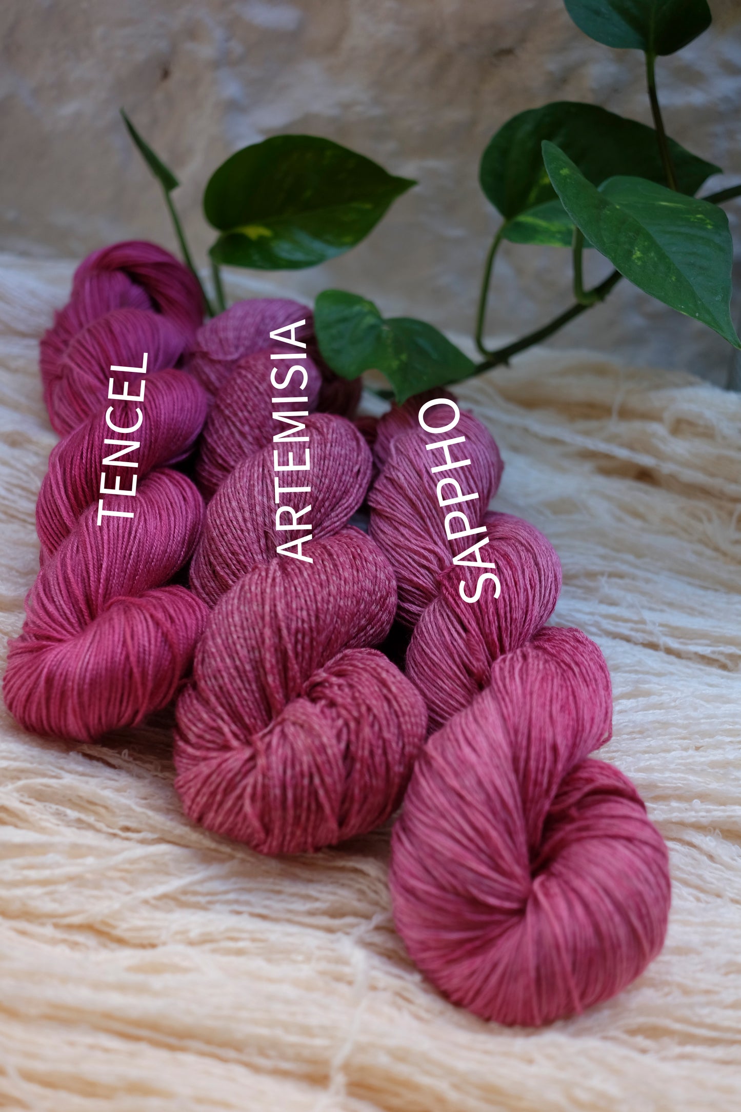 Botanical Study Yarn Club - Brazilia