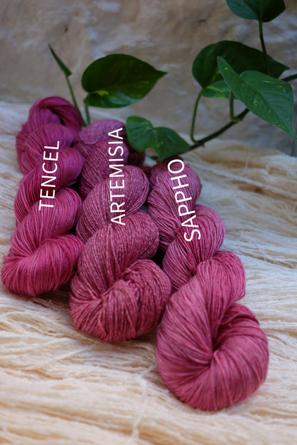 Botanical Study Yarn Club - Brazilia