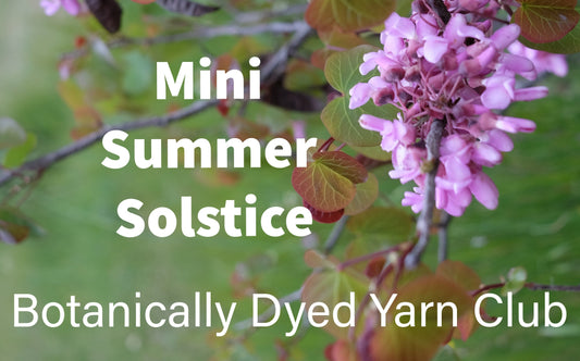mini , hand dyed yarn club