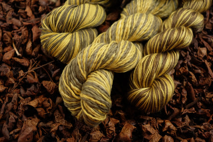 New Year's  2026 Cast On