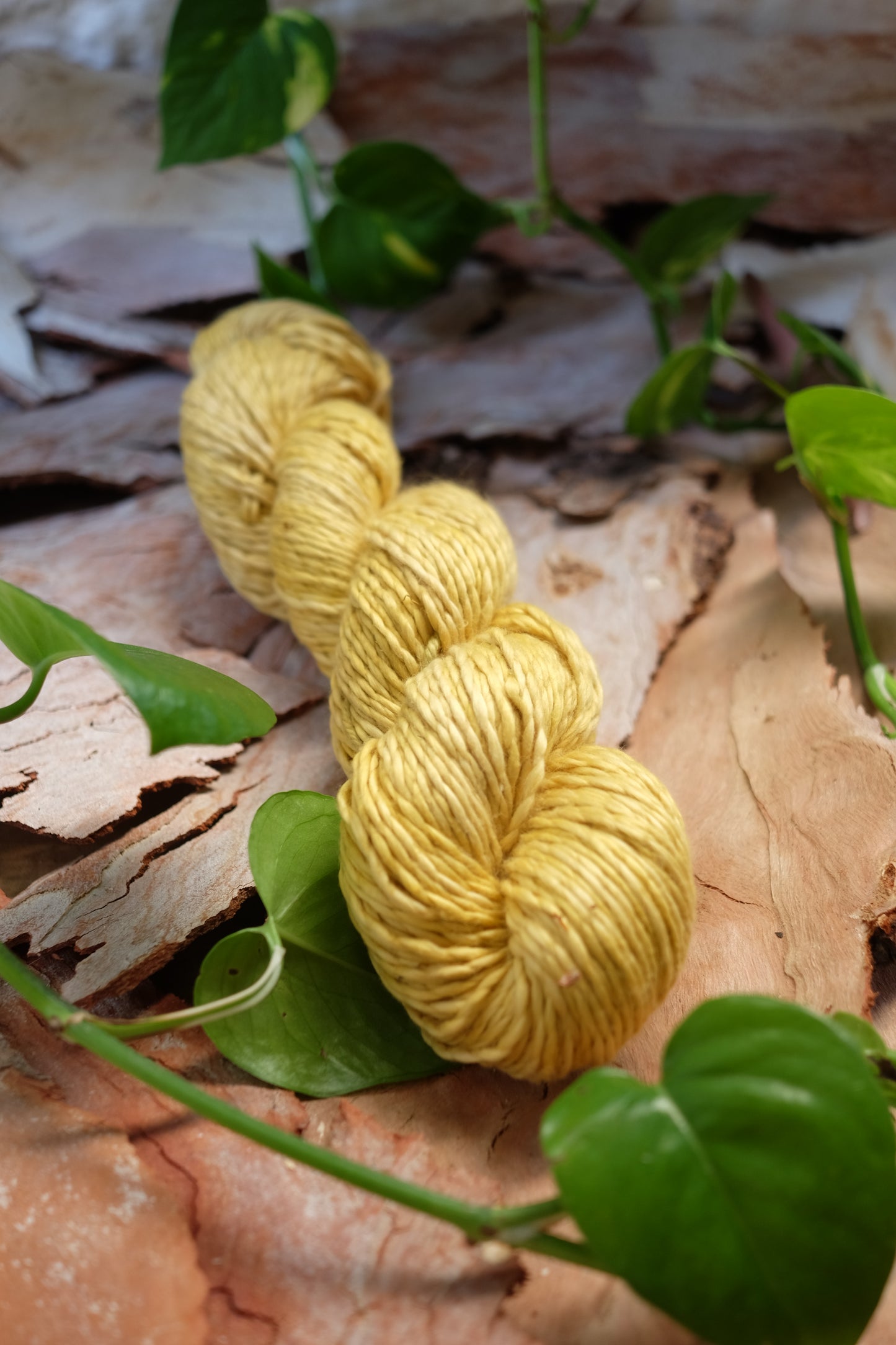 Artemisia - Plant Dyed Organic Pima Cotton!