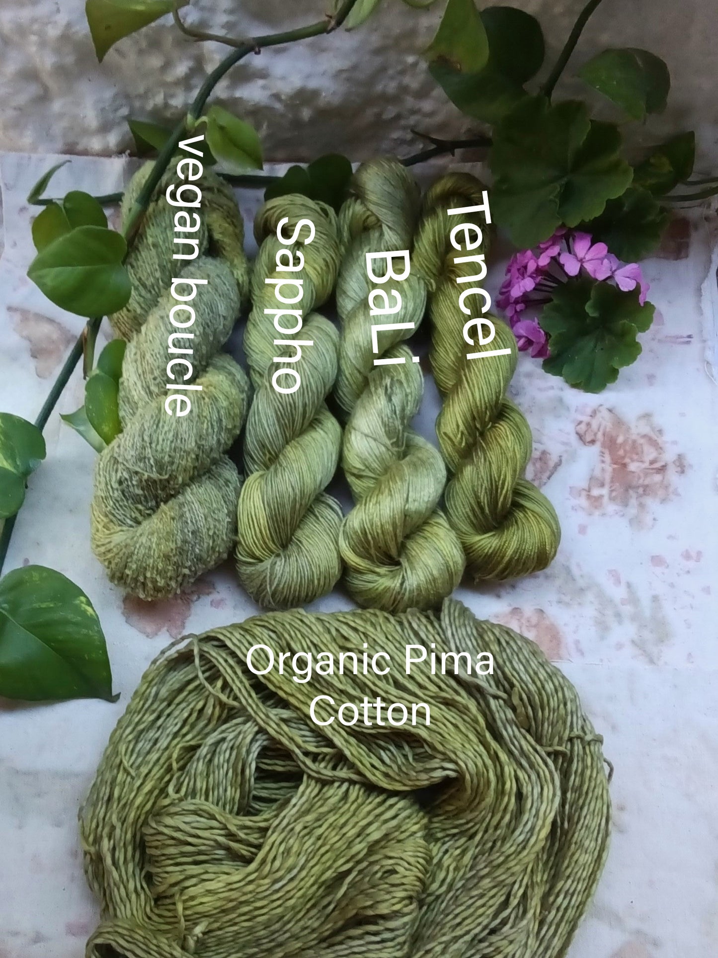 Botanical Study Yarn Club - Evelina
