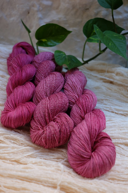 Botanical Study Yarn Club - Brazilia