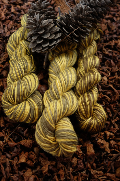 New Year's  2026 Cast On