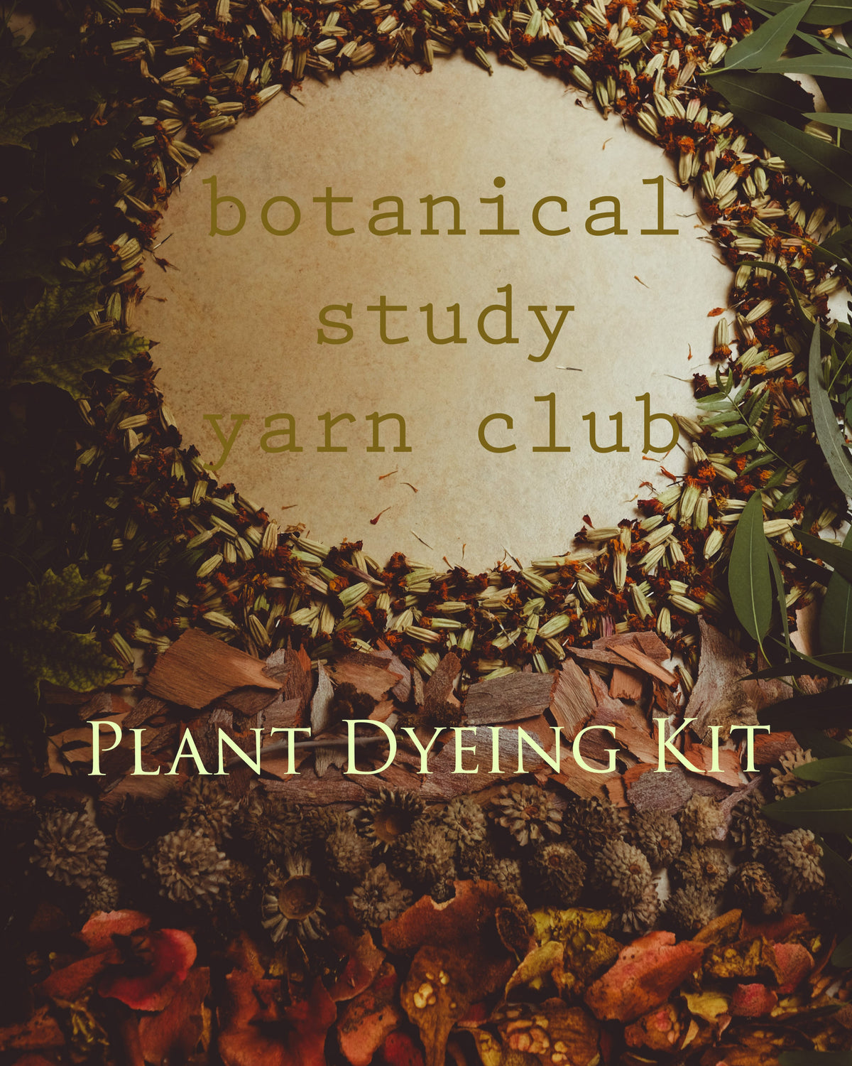 Botanical Study Yarn Club - Natural Dyeing Kit!