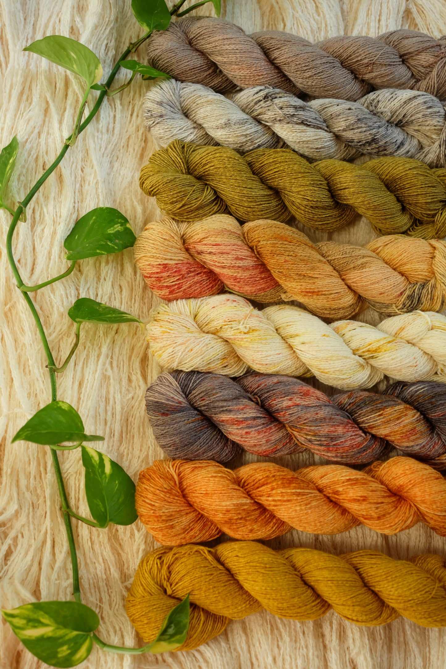 Artemisia Vegan Sock Yarn