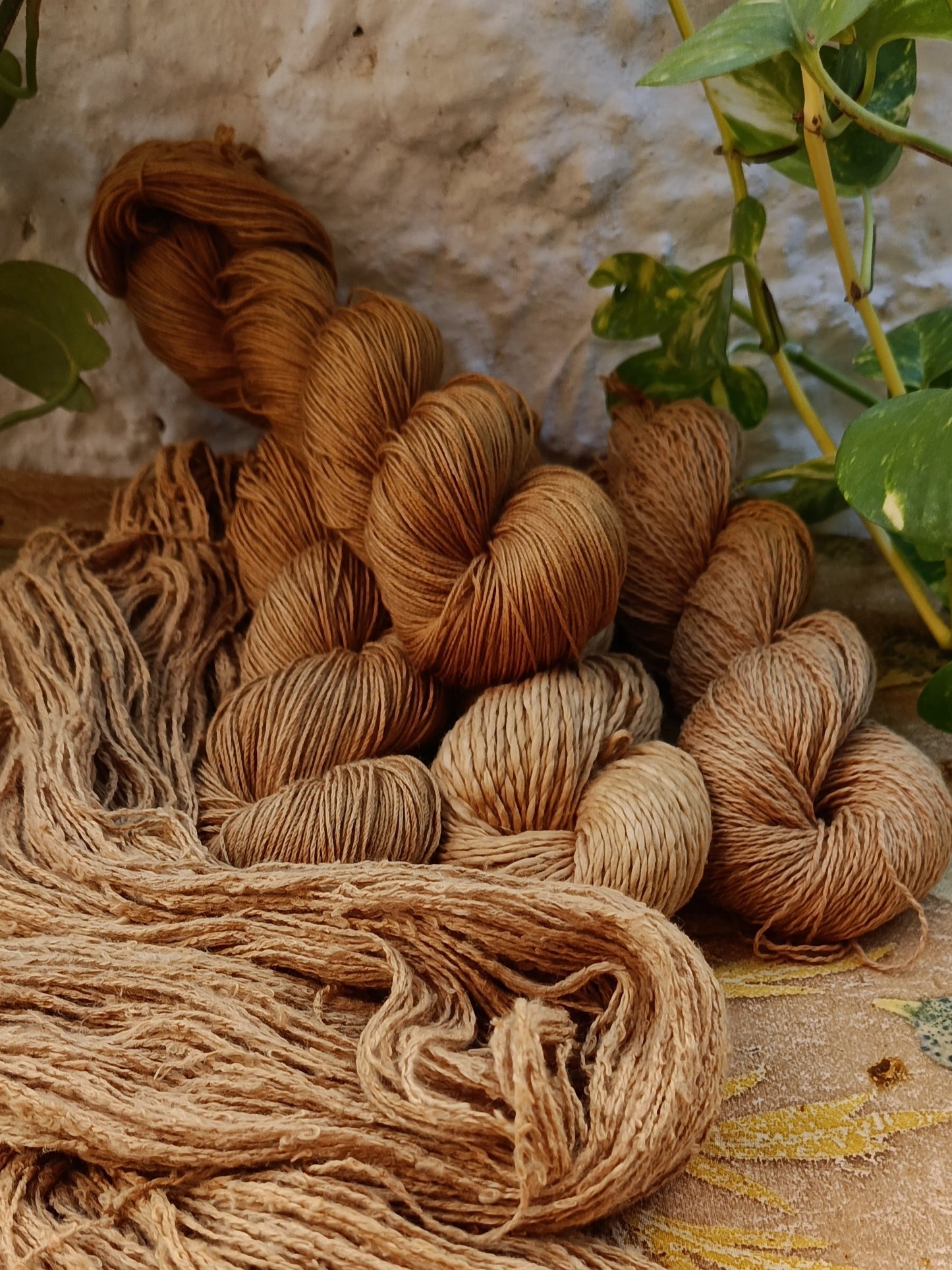 Botanical Study Yarn Club - Aisha